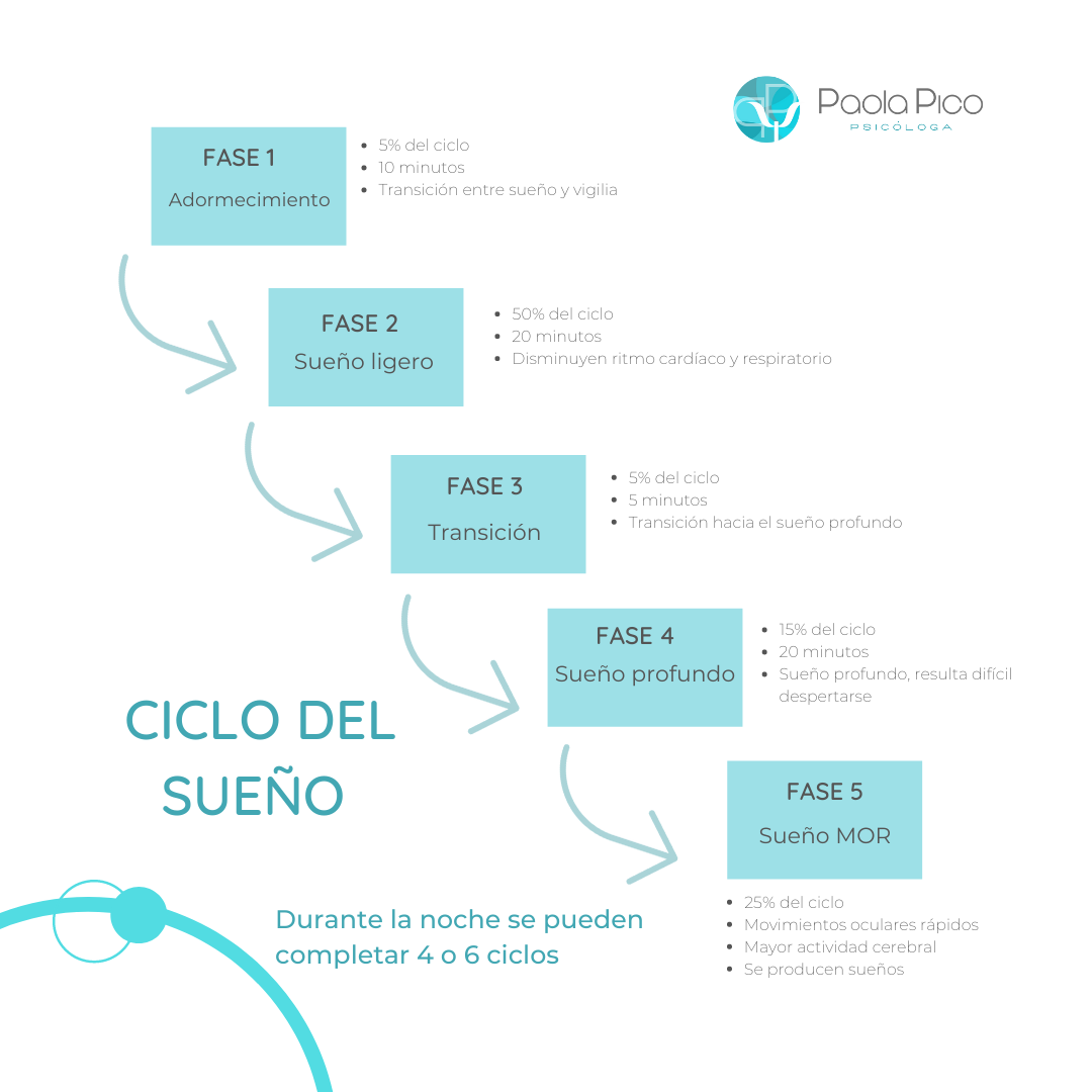 ciclo del sueño