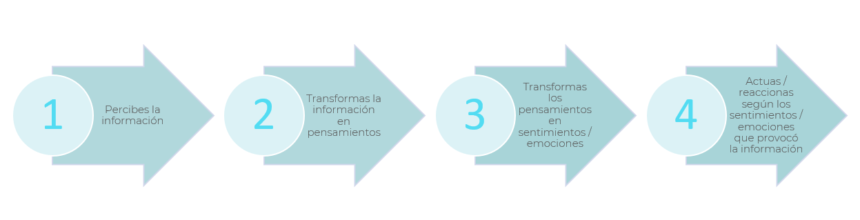 Proceso de la información y la comunicación